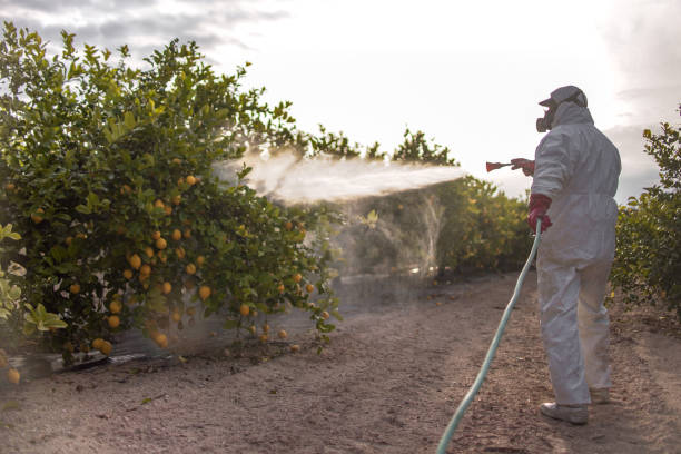 Best Commercial Pest Control Services  in Seymour, TX